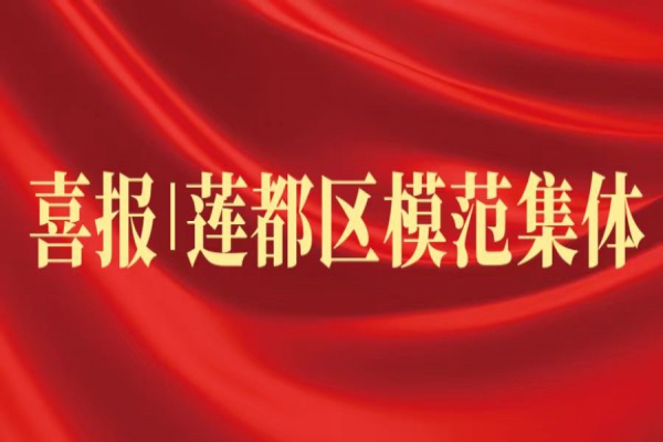 喜報(bào)丨浙江中立建設(shè)榮獲蓮都區(qū)“模范集體”稱號(hào)!
